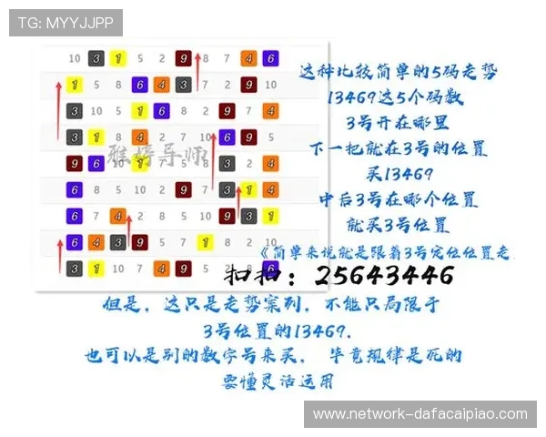 掌握幸运飞艇精准计划与走势分析提升稳定盈利实战技巧全解析方法